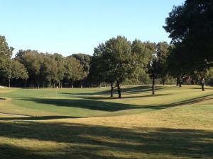 Tree lined Fairway at Colonial